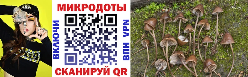 Псилоцибиновые грибы ЛСД  гидра ТОР  Удомля 